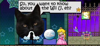 Our psychic cat predicts five things we wish we knew about the Wii U