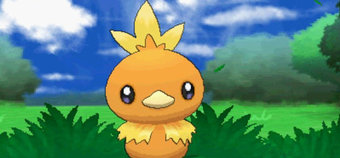 Nab yourself a Torchic in Pokemon X and Y