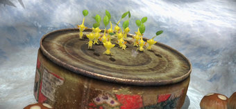 Pikmin 3, Donkey Kong going cheap in surprise Nintendo download sale