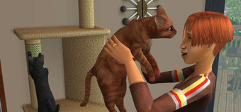 The Sims 2: Ultimate Edition is now FREE!