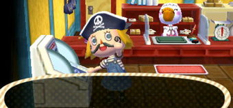 Animal Crossing Adventures #2: Summer Special