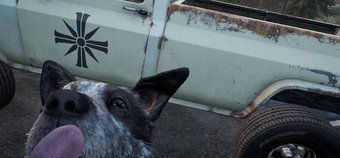 Far Cry 5: Can Boomer the Dog, Cheeseburger the bear, or Peaches the cougar die?