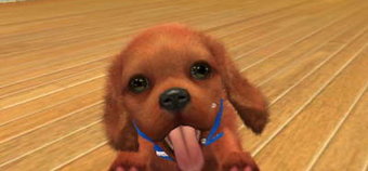 Parent's Guide: Nintendogs + Cats: Golden Retriever + New Friends - Age rating, mature content and difficulty