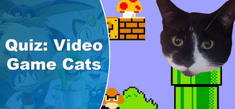 How many video game cats can you name?