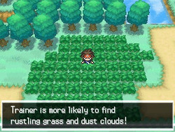 Pokemon Black Version 2 Screenshot