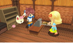 HomeTown Story Screenshot