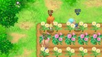 Harvest Moon: The Tale of Two Towns Nintendo DS Screenshots