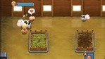 Harvest Moon: The Tale of Two Towns Nintendo DS Screenshots