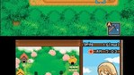 Harvest Moon: The Tale of Two Towns Nintendo DS Screenshots