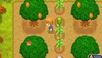 Harvest Moon: The Tale of Two Towns Nintendo DS Screenshots