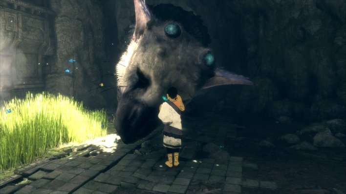 The Last Guardian' (PS4) review: Trico is a good boy, yes he is