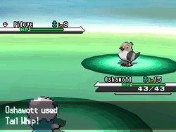 Pokemon Black/White Screenshot