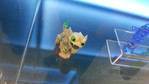 Skylanders Trap Team iOS Screenshots