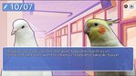 Hatoful Boyfriend PS Vita Screenshots