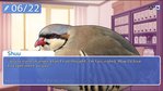Hatoful Boyfriend PS Vita Screenshots