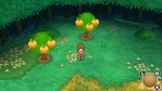 Return to PopoloCrois: A Story of Seasons Fairytale Nintendo 3DS Screenshots