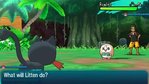 Pokemon Sun Nintendo 3DS Screenshots