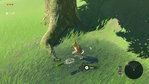 The Legend of Zelda: Breath of the Wild Nintendo Wii U Screenshots
