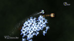 Schizoid Xbox 360 Screenshots