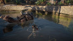 Assassin's Creed Origins Xbox One Screenshots