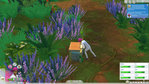 The Sims 4: Jungle Adventure PC Screenshots