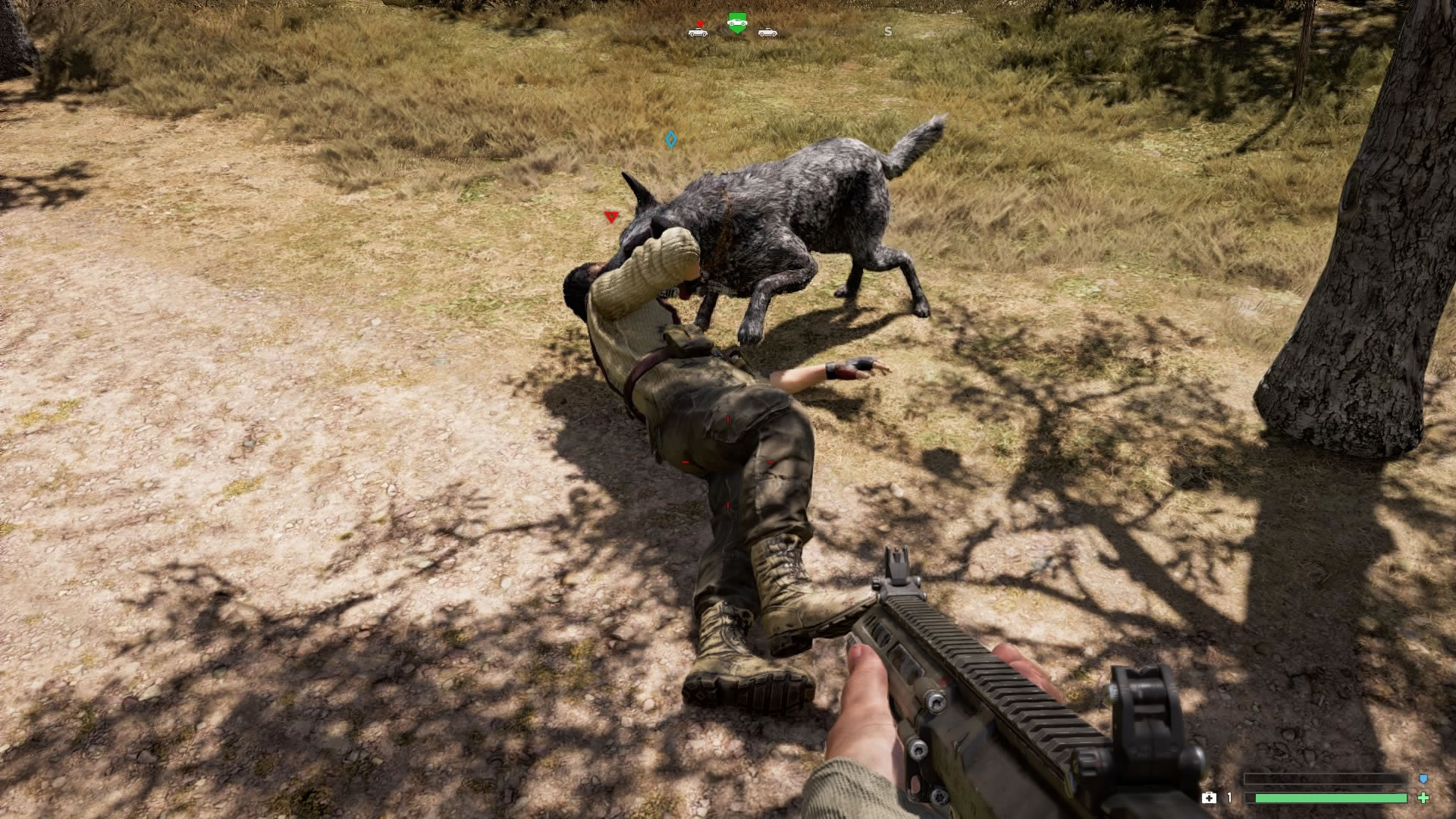 Far Cry 5 Can Boomer the Dog, Cheeseburger the bear, or Peaches the cougar die? Outcyders