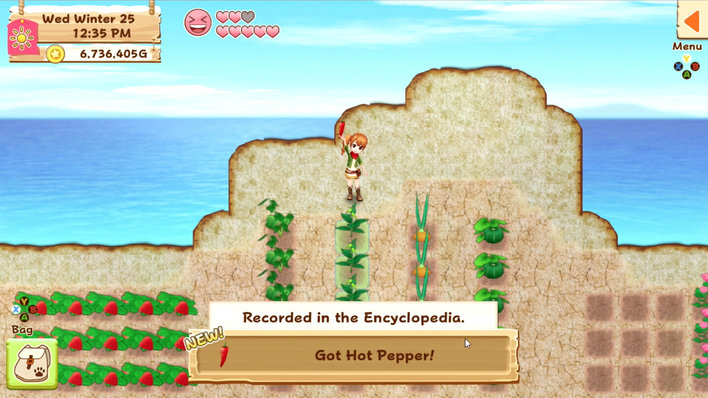 Harvest Moon Light of Hope Special Edition Screenshot