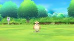 Pokemon: Let's Go, Eevee Nintendo Switch Screenshots