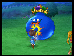 Dragon Quest IX: Sentinels of the Starry Skies Screenshot