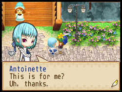 Harvest Moon Grand Bazaar Screenshot