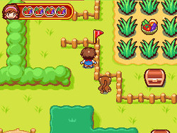 Cooking Mama World Outdoor Adventures Screenshot