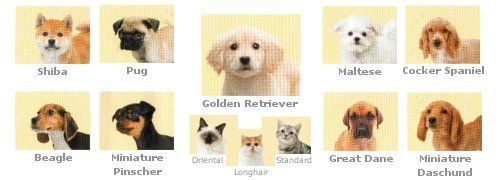 are the different breeds in Nintendogs + Cats on the 3DS? | Outcyders